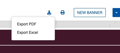 Export icon and format options