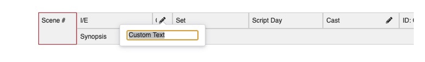 Custom Text field example