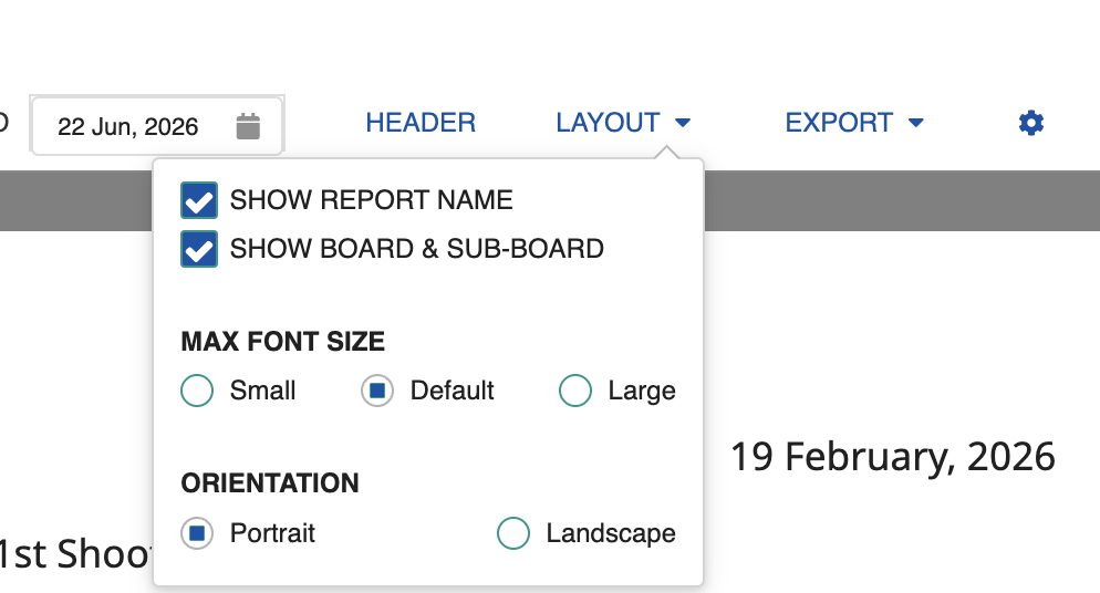 Layout options panel